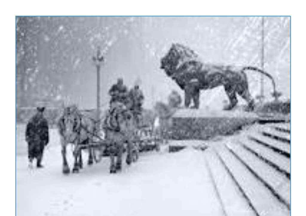 Chicago winter 2009: Art Institute lion, snow-covered steps, horse-drawn carriage in heavy snow